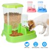 Pet Automatic Water Dispenser Food Dispenser 2 In 1 Dog Cat Dispenser Gravity Food Water Dispenser